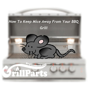 How To Keep Mice Away From Your BBQ Grill