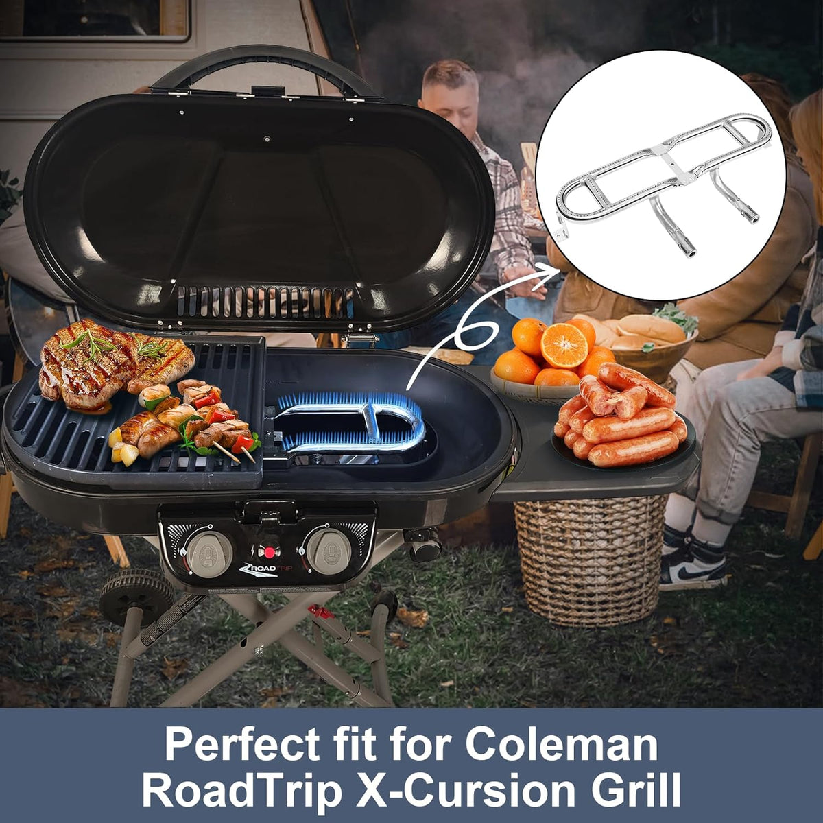 Coleman Portable Grill Coleman Traveler Grill Portable Propane
