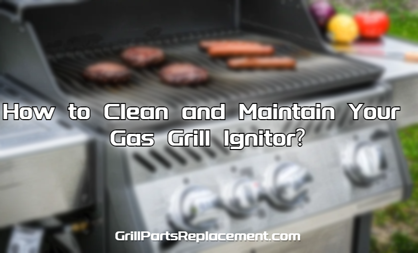 How to Clean and Maintain Your Gas Grill Ignitor? GrillPartsReplacement Online BBQ Parts