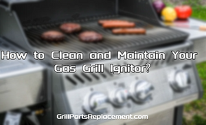 How to Clean and Maintain Your Gas Grill Ignitor?