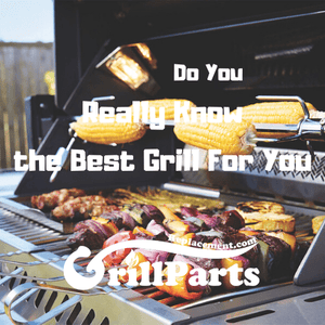 Do You Really Know the Best Grill For You
