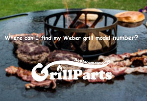 Where can I find my Weber grill model number?