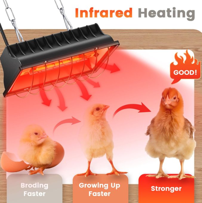250W Chicken Coop Heater for 30 Chicks Or Ducks, 7.86ft Cord Brooder H ...