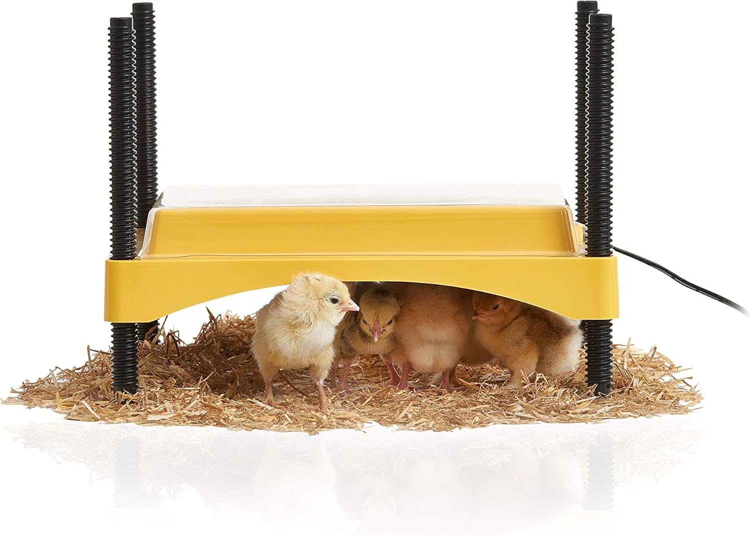 Brooder Plate Stand Up Chicken Brooder Duckling Brooder, Adjustable Height & Angle Brooder Pl ...