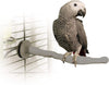 Heated Bird Perch Thermo-Perch Gray Medium 1.25x13 Inches, Bird Cage Warmer Thermostatical Heaters for Caged Birds, Parrots, Parakeet