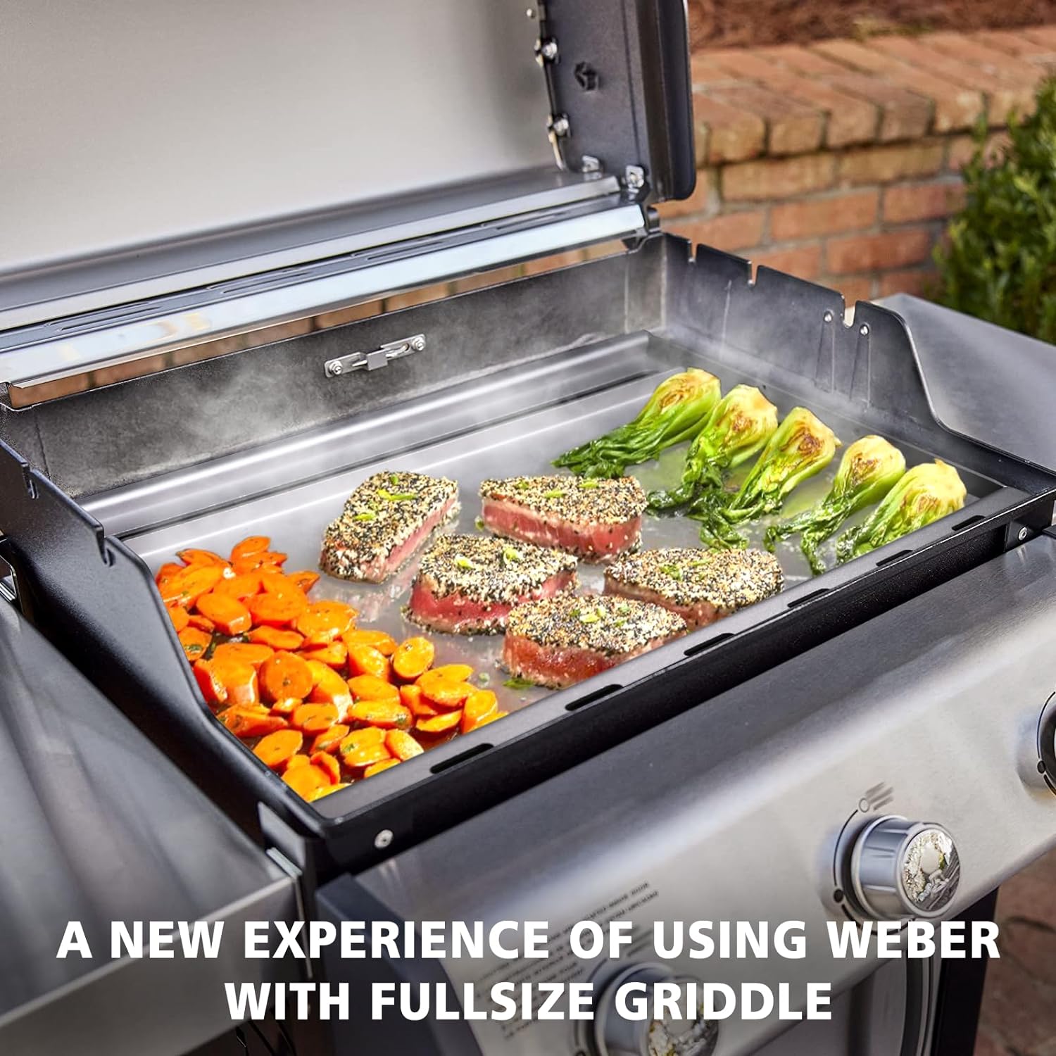 Piastre Riscaldanti (Barre Aroma) Per Weber Genesis Serie 300: E310, E320, E330, S310 - Smaltate, 2 Pezzi