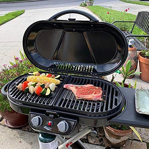 Coleman Grill Coleman Roadtrip Swaptop Steel Stove Grate Coleman